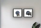Plakattrykk "Vi har alle vår plass under stjernene" thumbnail